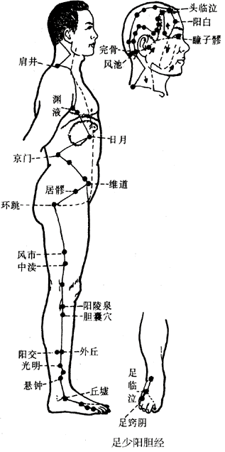 足少阳胆经图