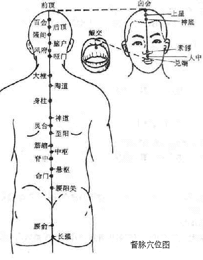 督脉穴位图