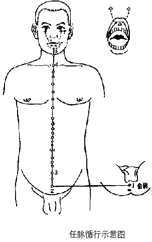 任脉循行示意图