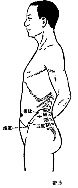 带脉循行示意图