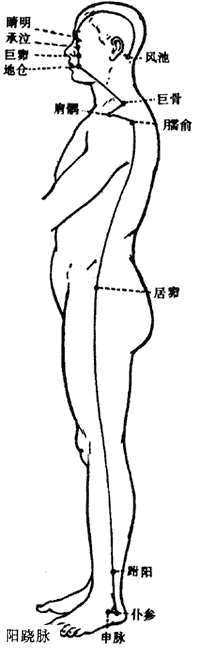 阳跷脉循行示意图