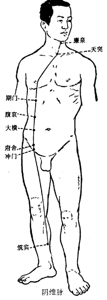 阴维脉循行示意图