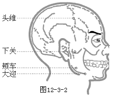 大迎穴位图