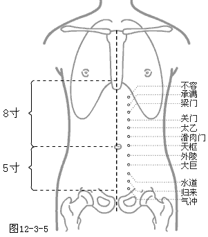 太乙穴位图