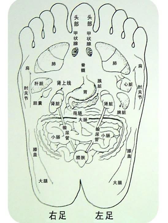 足部穴位