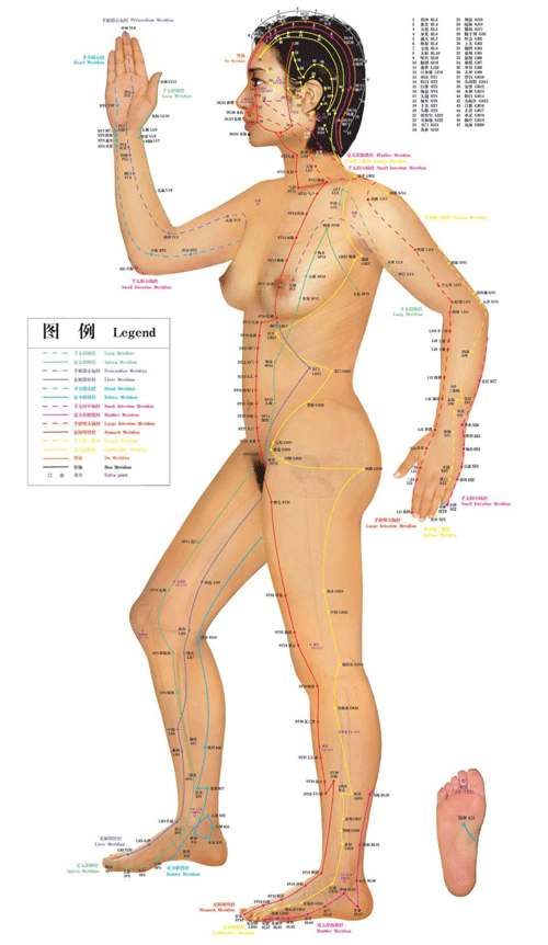 Primary Syphilis in Adults: Condition, Treatments, and ...