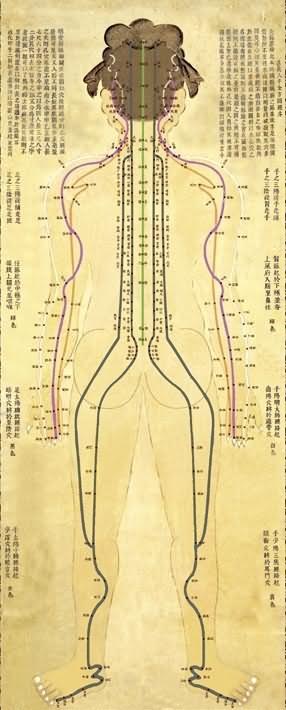 人体背面穴位图（古）