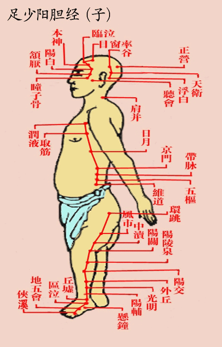 足少阳胆经（古）