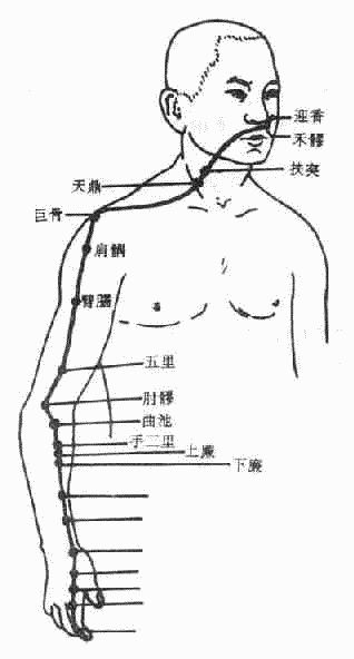 大肠经的主治概要图