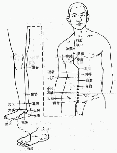 肾经图