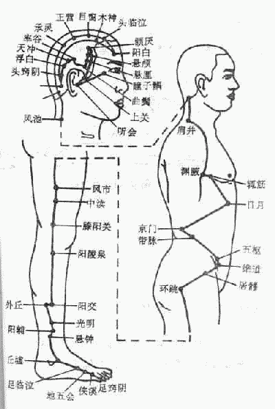 足少阳胆经图