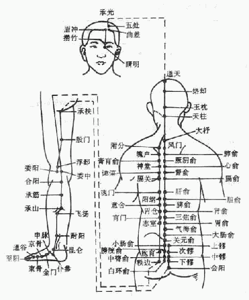 膀胱经图