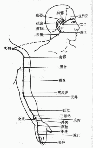 三焦经图