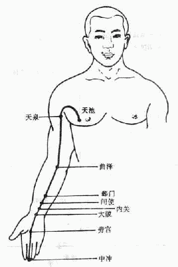 心包经图