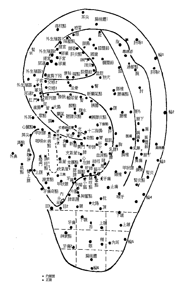 人体头部穴位详图