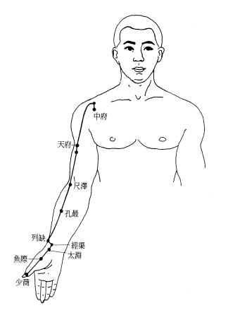 手太阴肺经经筋图