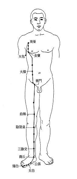 足太阴脾经经筋图 