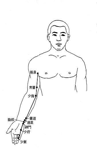 手少阴心经经筋图 