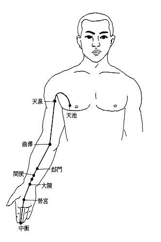 手厥阴心包络经经筋图 