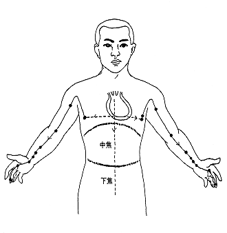 手厥阴心包络经经别循行路径图 