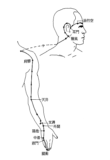 手少阳三焦经经筋图 