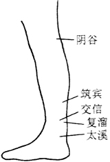 图6-1白发按摩疗法穴位图