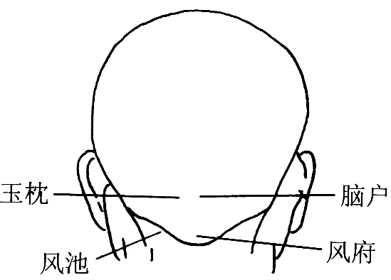 图6-2非脂溢性脱发按摩疗法穴位图
