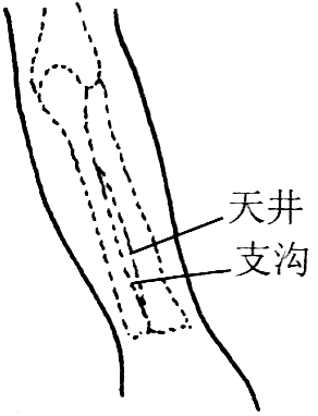 图6-3面部美容按摩穴位图