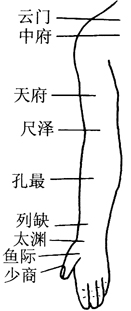 图6-4面部美容按摩穴位图