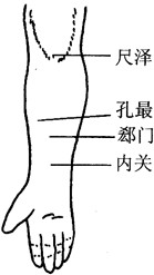 图6-5面部美容按摩穴位图