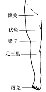 图6-6面部美容按摩穴位图