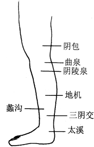 图6-7面部美容按摩穴位图