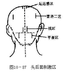 头后面刺激区图