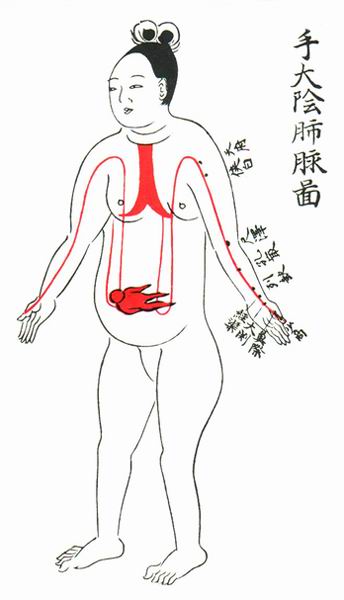 手太阴肺脉图