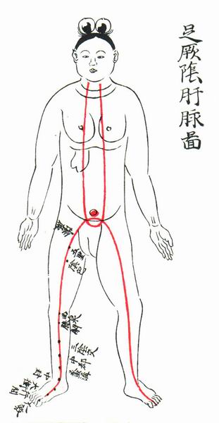 足厥阴肝脉图