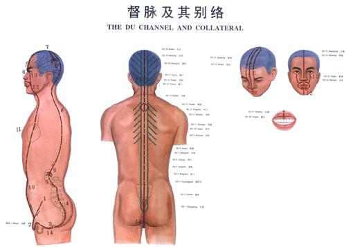 督脉与其别络