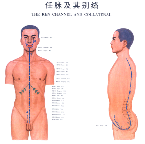 任脉与其别络图