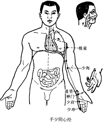 手少阴心经图