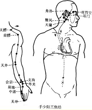 手少阳三焦经图解