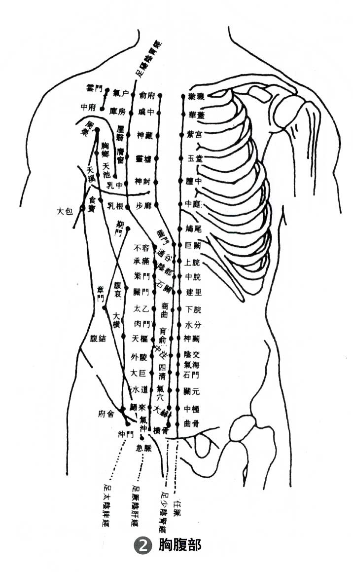人体腹部穴位图