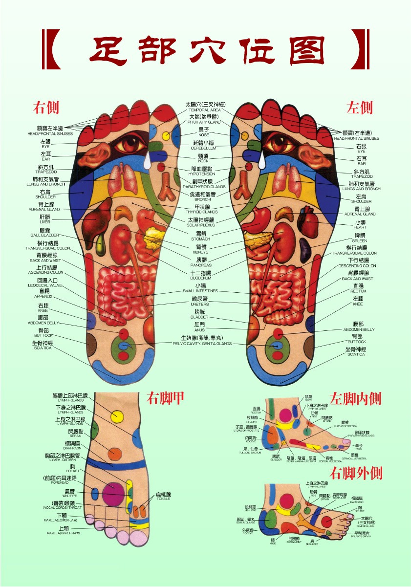 足部穴位图