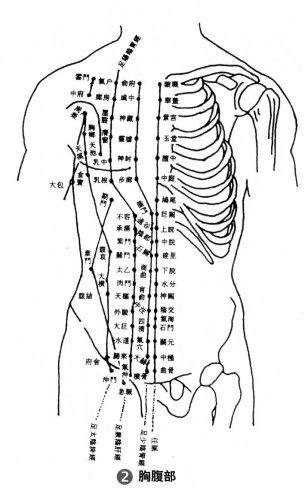 胸腹部经络图