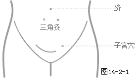 奇穴-胸腹部穴图