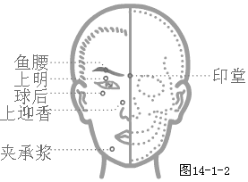 奇穴图-鱼腰