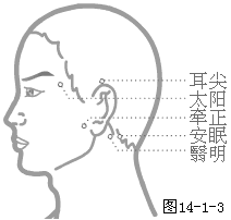 奇穴图-太阳