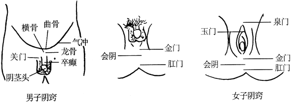 图9-1阴窍按摩穴位图