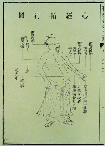 《医宗金鉴》十二脉图 