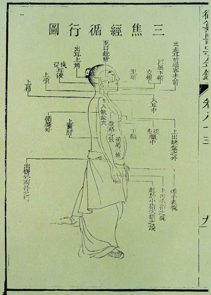 《医宗金鉴》十二脉图 