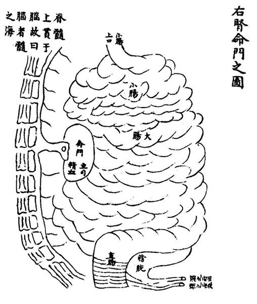 《循经考穴编》传本存真图 