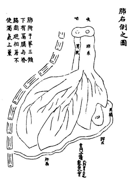 《循经考穴编》传本存真图 